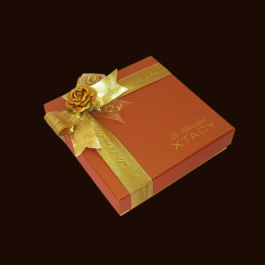 Le Chocolat XTACY 9 Piece Orange Chocolate Box