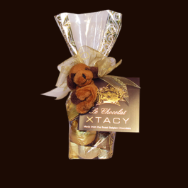 Le Chocolat XTACY Golden Chocolate Pouch & Soft Toy